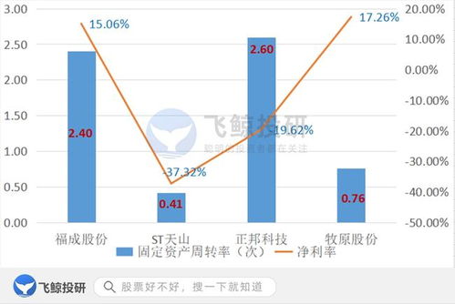 排雷必備 巧用固定資產篩選企業，優化企業資產管理